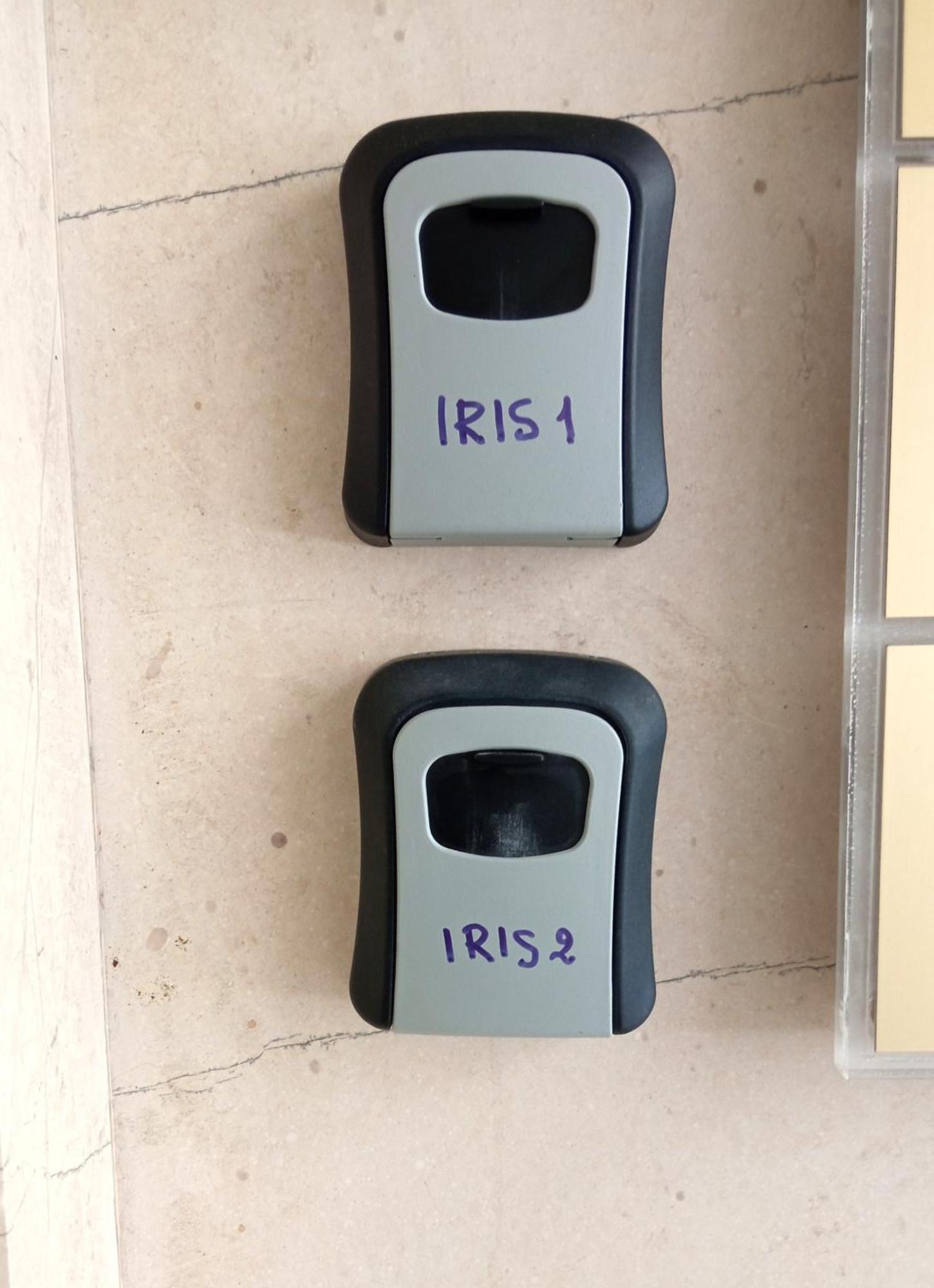 Iris *